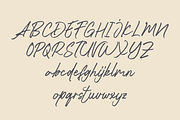 Bantah Kidul - Script Font, a Script Font by GFRcreative (Thumbnail 5 of 8)