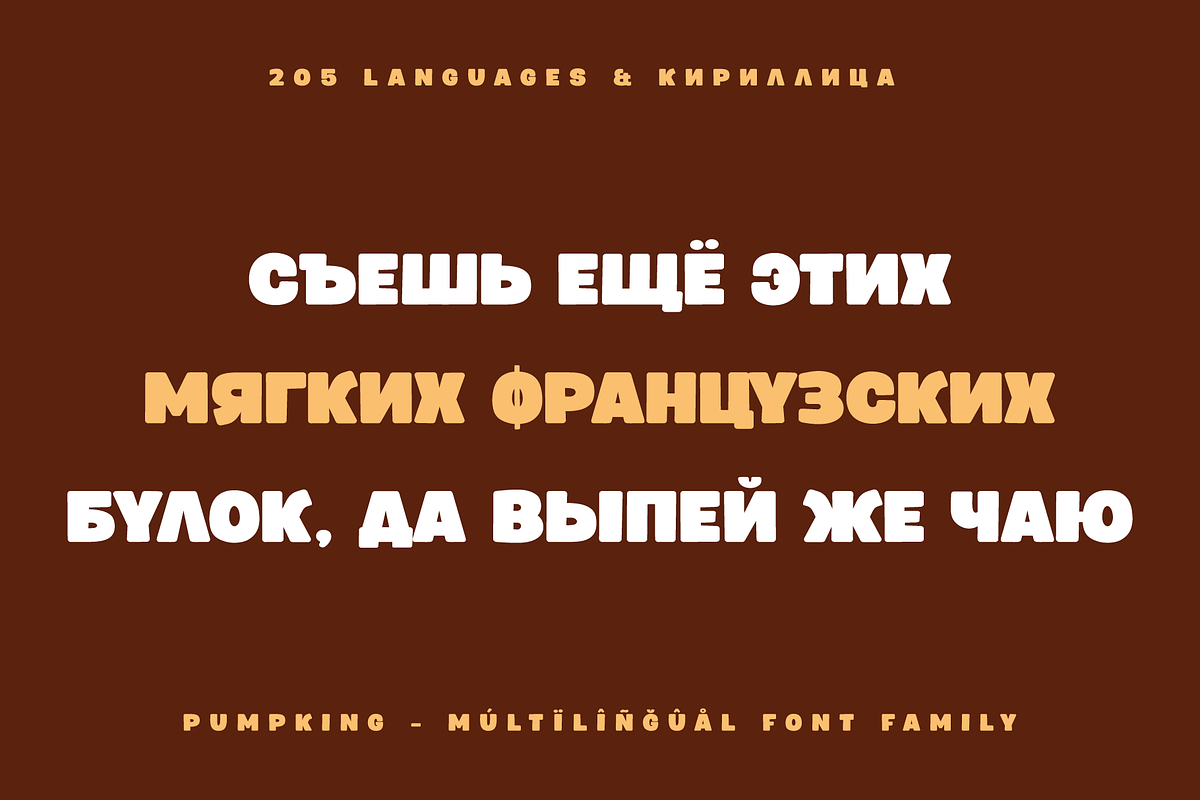 Pumpking Friendly Typeface, a Sans Serif Font by alpercakici (Photo 11 of 17)