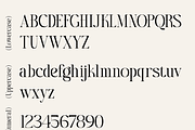 Zaloma, a Serif Font by Zaloma Studio (Thumbnail 8 of 10)