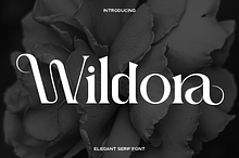 Wildora - Elegant Modern Serif