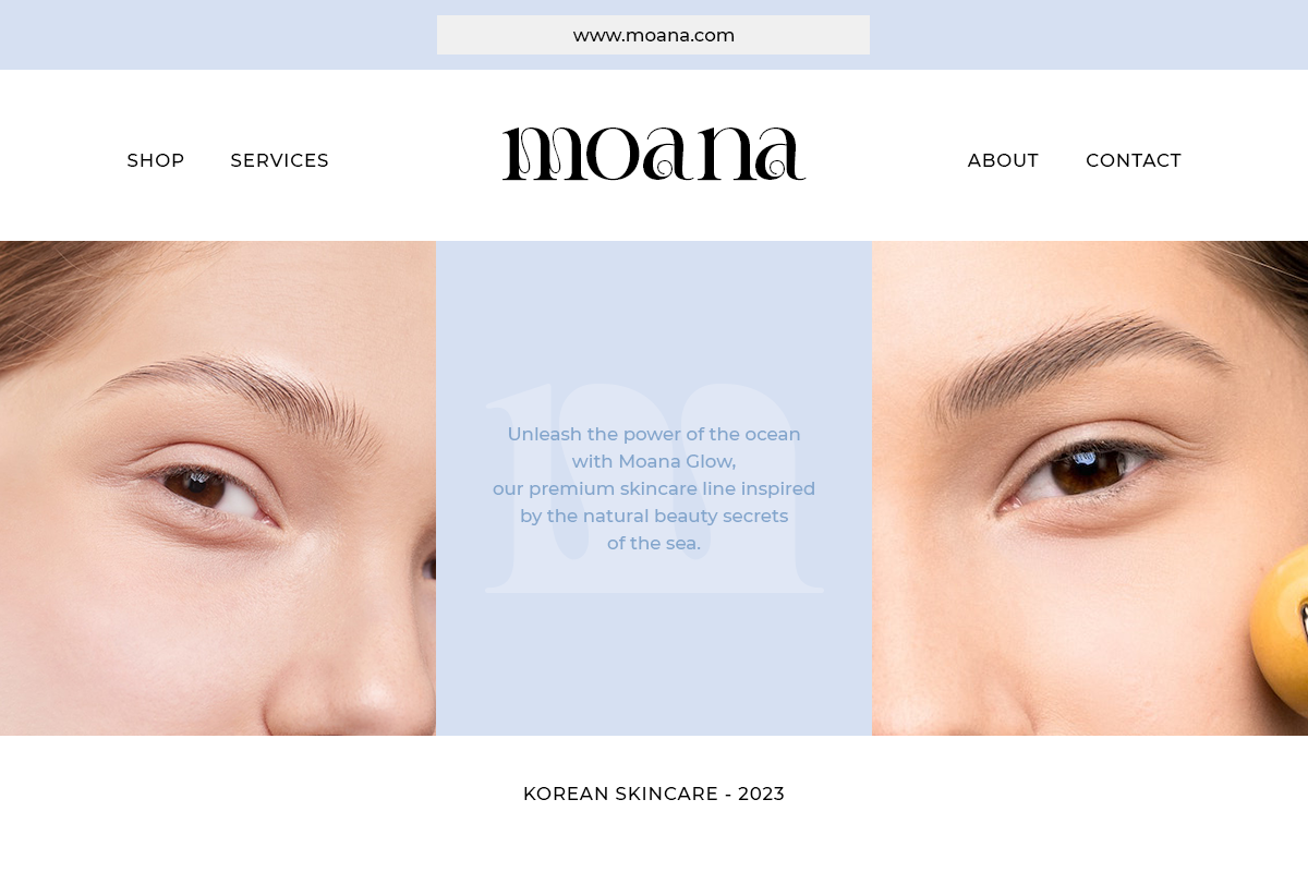 Pritude Radiance - Elegant Branding, a Serif Font by Sohel Studio (Photo 4 of 10)