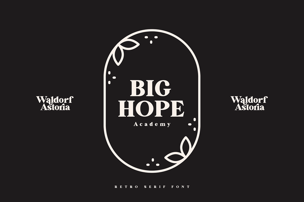 Waldorf Astoria Modern Vintage Font, a Serif Font by Pen Culture (Photo 7 of 11)