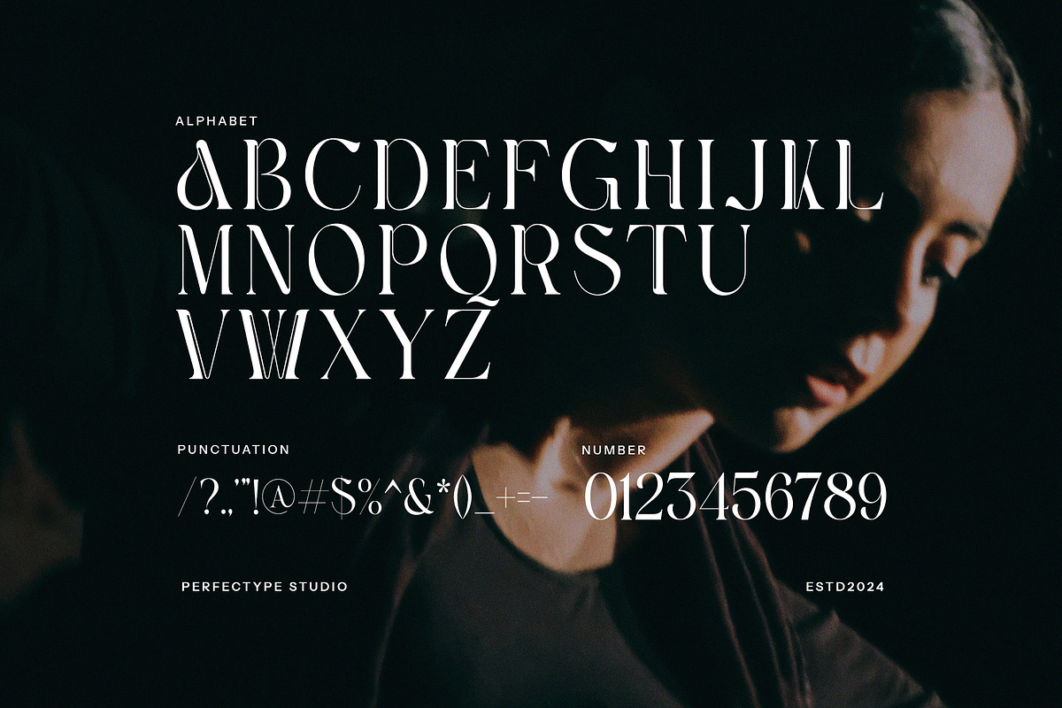 Havko Unique Serif Font, a Serif Font by Perfectype (Photo 8 of 8)