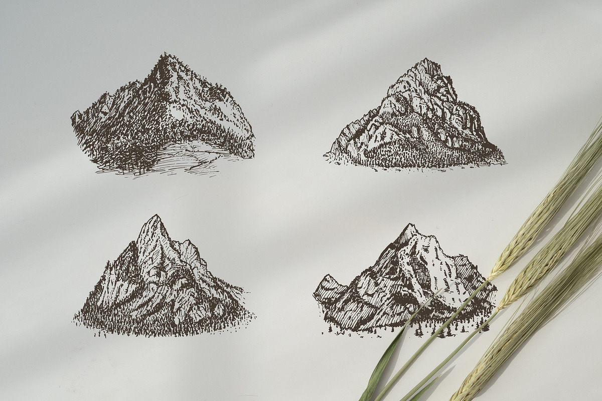 Mountain and Tree Illustrations, an Illustration by Chewie Co (Photo 9 of 10)