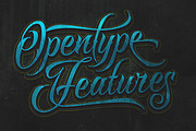 Raven Script, a Script Font by Mikrojihad Typography (Thumbnail 2 of 6)