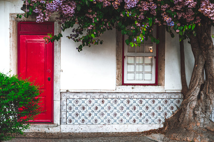 A painted tiled house facade, an Architecture Photo by SkyNext