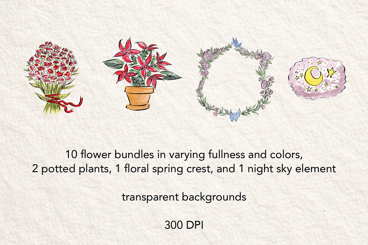 Floral Watercolor Illustrations, a Decorative Illustration by Bbooth88 (Photo 2 of 6)