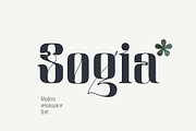 Sogia modern renaissance font, a Serif Font by kaer_shop (Thumbnail 9 of 9)
