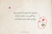 Hand Written Font Trio Serif Script, a Handwritten Font by whiteheartdesign (Thumbnail 2 of 17)
