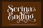 Qid Bronste Elegant Serif, a Serif Font by Perfectype (Thumbnail 5 of 9)