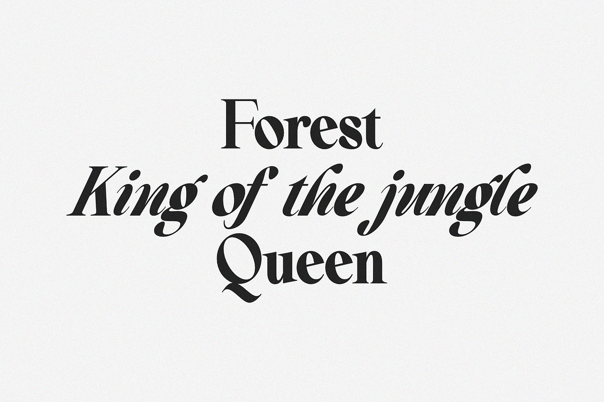Beautiful Comethrue Family 54 Fonts, a Serif Font by Sealoung (Photo 15 of 18)