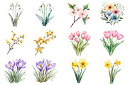 Botanical Spring Blooms Png, an Illustration by CitraGraphics (Thumbnail 5 of 5)