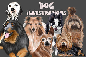 Dog Illustrations - Hand painted