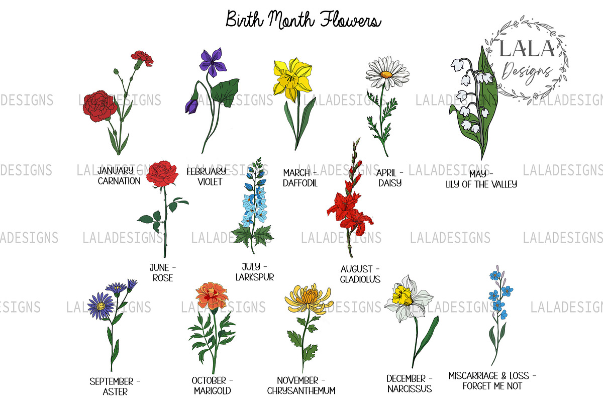 Grandma's Garden Love Blooms PNG, a Graphic by LALADesigns (Photo 2 of 2)