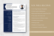 Modern Resume Template - The Lucci, a Resume Template by AntDesignStudio (Thumbnail 7 of 9)