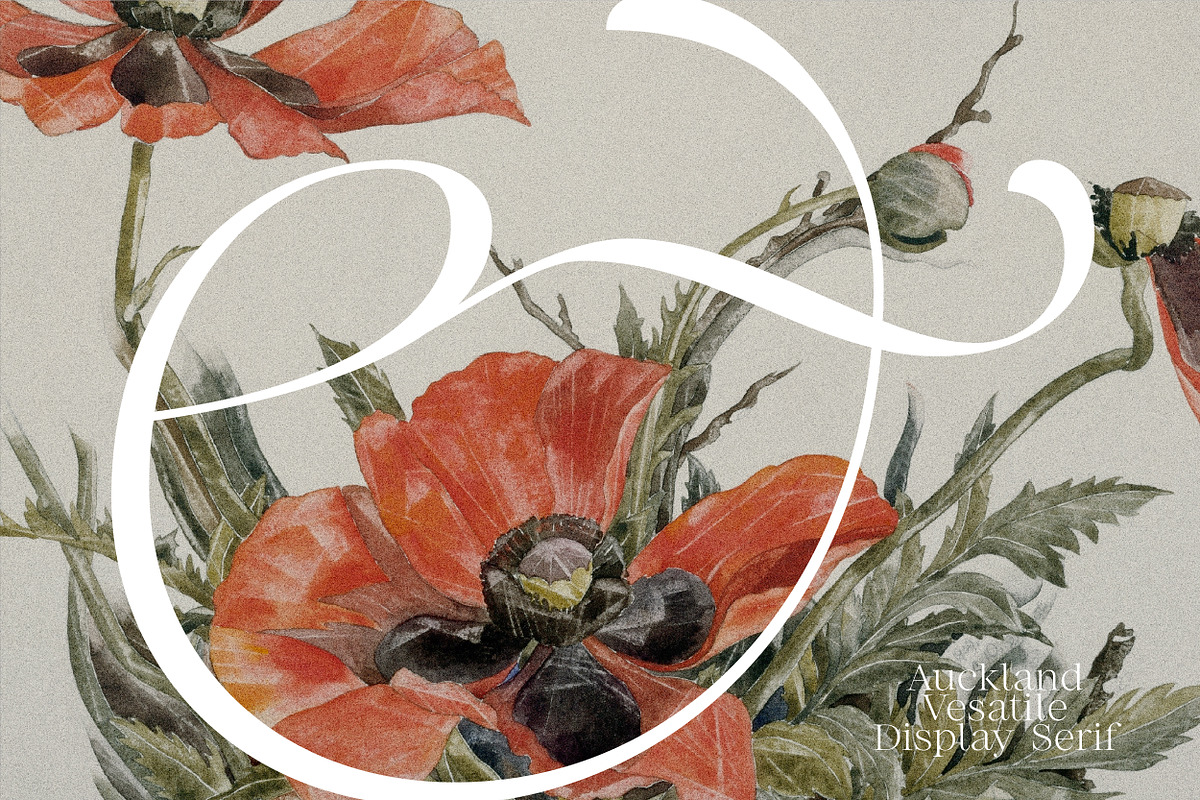Auckland - Versatile Serif, a Serif Font by Harmonais Visual (Photo 9 of 18)