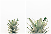 10 Isolated Pineapple Images – Vol 1, a Health & Medical Photo by Pineapple Shop (Thumbnail 4 of 6)