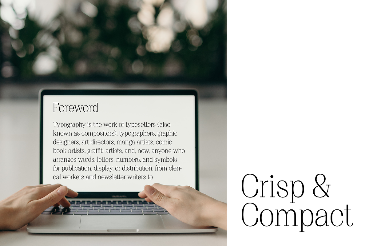 Proto Serif Font Family, a Serif Font by Bukva™ Type Foundry (Photo 12 of 16)