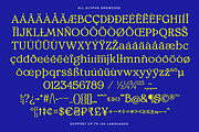 MTC Ciscela - Unique Serif Display, a Serif Font by Martype Co (Thumbnail 7 of 9)