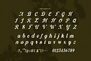 Frederica Script Font, a Script Font by Graphicxell (Thumbnail 8 of 8)