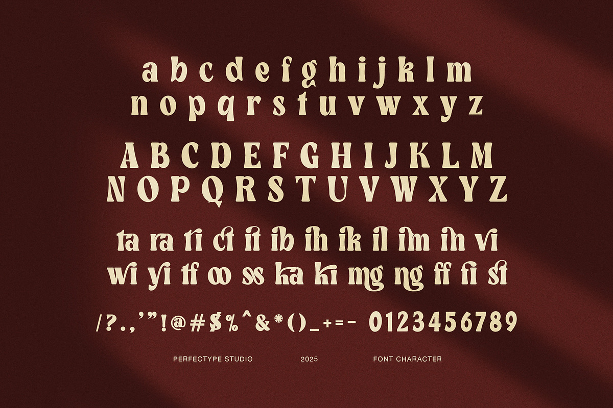 Mitkin Ligature Serif Font, a Serif Font by Perfectype (Photo 8 of 8)