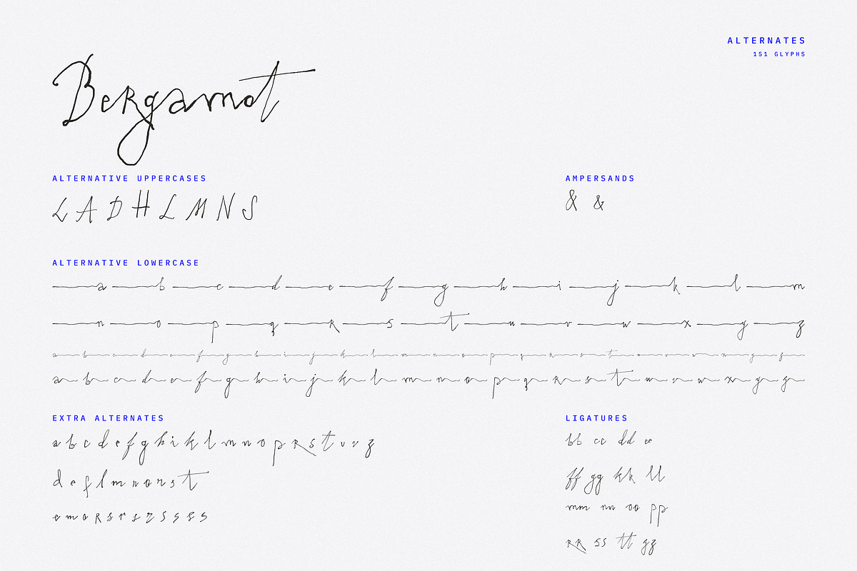 Bergamot // experimental, raw script, a Handwritten Font by PeachCreme (Photo 15 of 15)