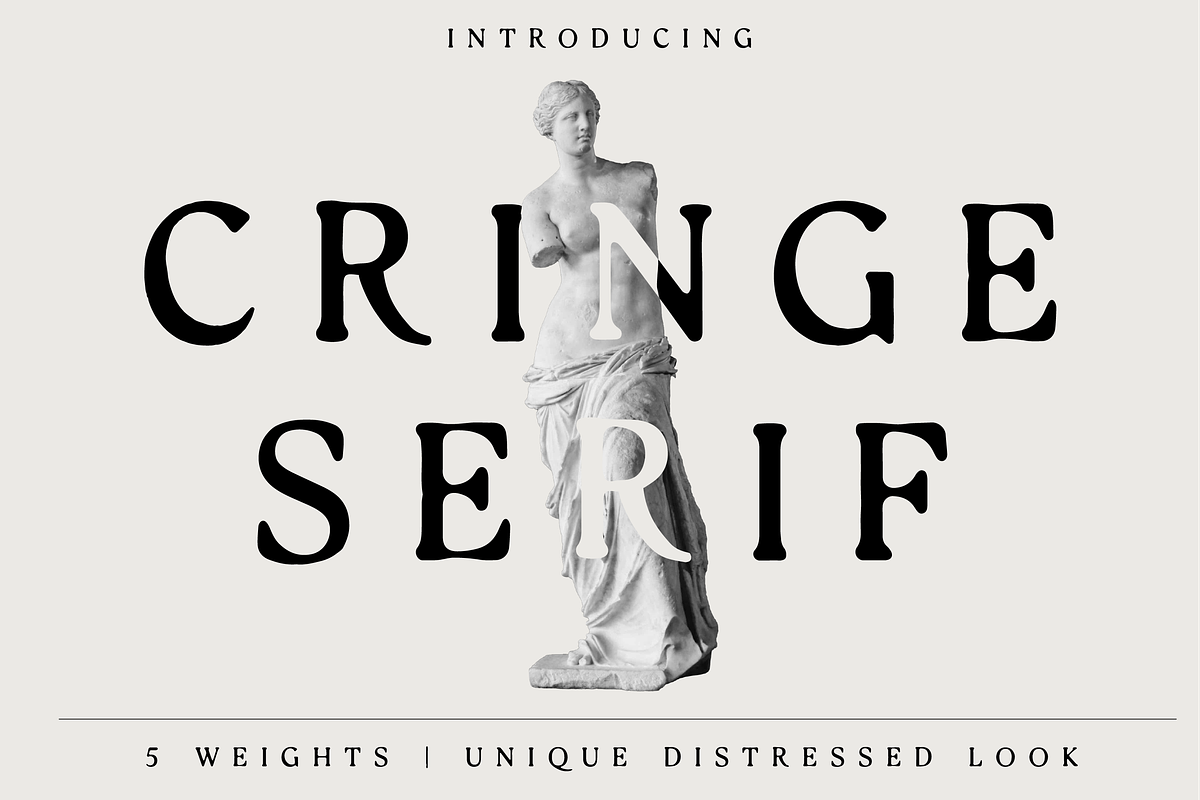 Cringe Serif, a Serif Font by Bnick (Photo 1 of 13)