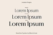 BrandNew – Luxury Serif Family, a Serif Font by BilberryCreates (Thumbnail 2 of 16)