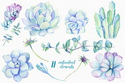 SALE! Succulents & Cactuses, an Illustration by Irina Diasli (Thumbnail 4 of 8)