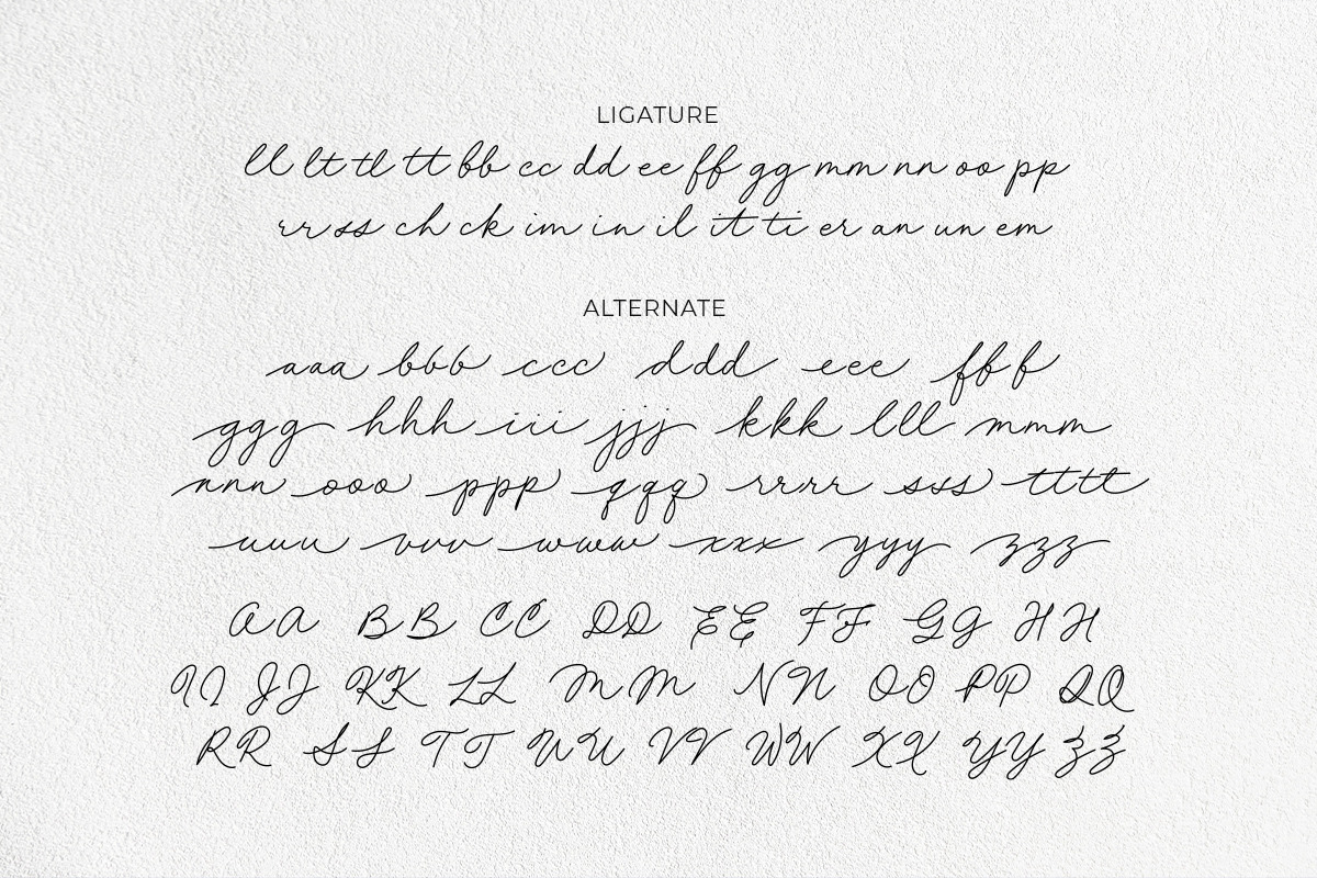 Chatty Rolia - Handwritten Script, a Script Font by Fikry Alfatih (Photo 10 of 11)