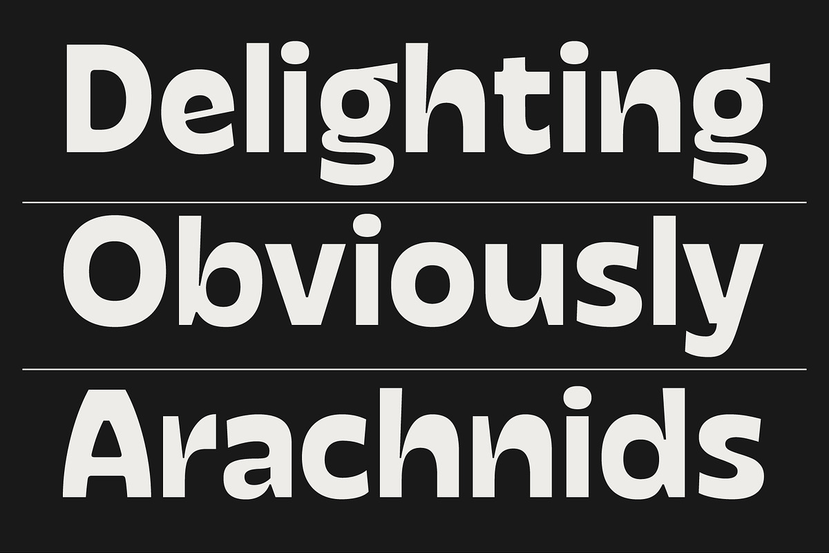 Facers, a Sans Serif Font by Adam Fathony (Photo 13 of 18)