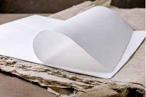 Elegant White Paper Curled On, a Background Photo by Natasha Breen