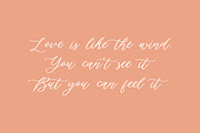 Silverweed - Calligraphy Script Font, a Script Font by Balpirick Studio (Thumbnail 2 of 7)