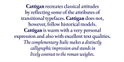 Cattigan, a Serif Font by Hoftype (Thumbnail 3 of 15)