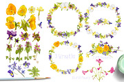 101 PNGs!-Spring Celebration!, an Illustration by watercolorwild.graphics (Thumbnail 2 of 9)