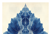 Role Co. Cyanotype Leaf in Symmetry, a Texture Illustration by milatovar (Thumbnail 13 of 21)