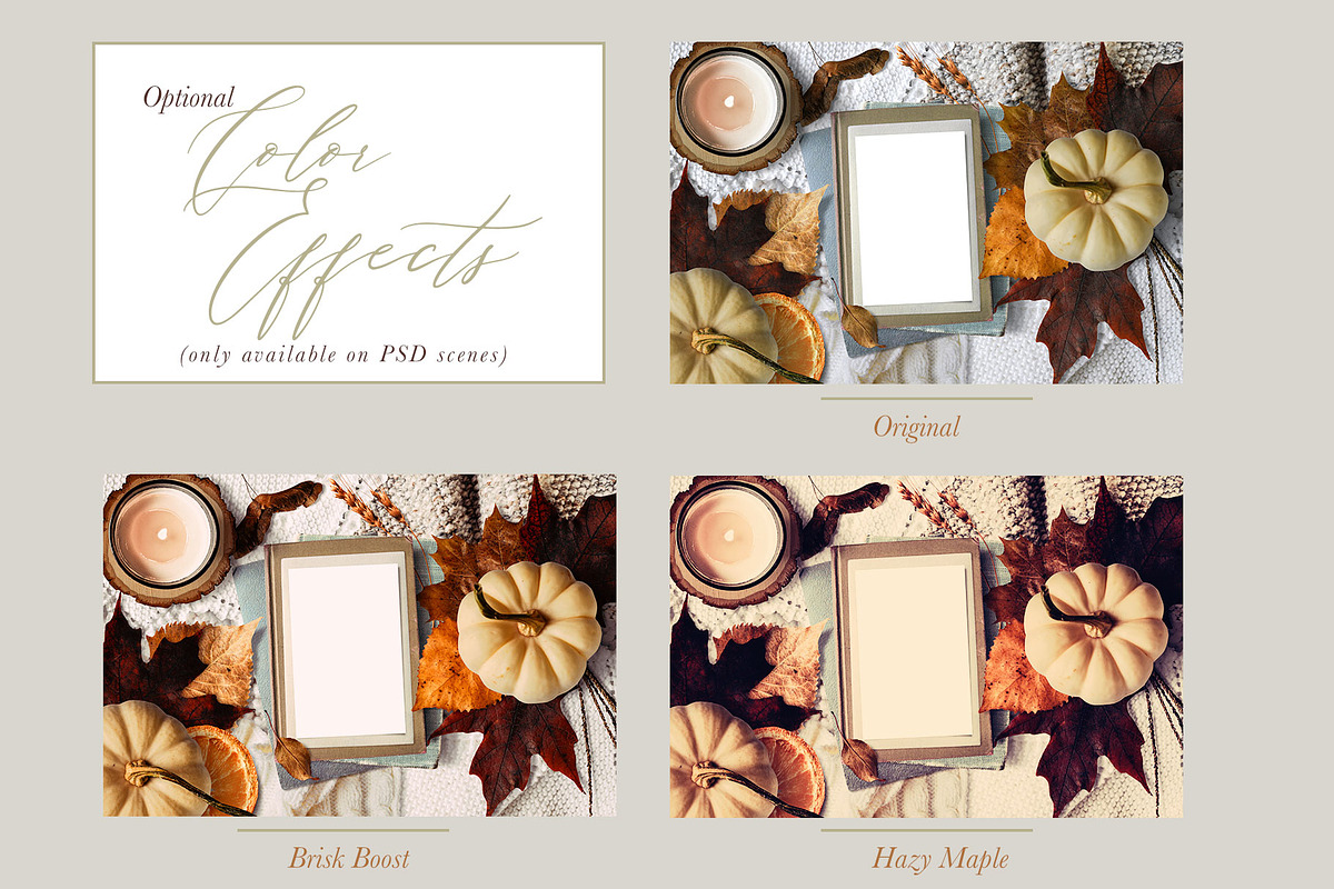 Autumn Abundance Mockup Scene Creator