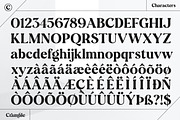 Cramble Modern Stylish Serif Font, a Serif Font by Letteralle Studios (Thumbnail 10 of 10)