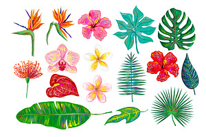 Tropical flowers, leaves collection
