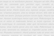 Elingo, a Sans Serif Font by Mozyen Studio (Thumbnail 7 of 8)