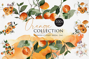 Watercolor Bundle -Orange Collection