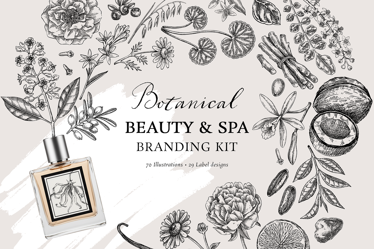 Botanical Beauty & Spa Branding Kit, a Healthcare Illustration by Yevheniia (Photo 1 of 12)