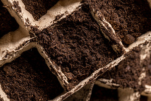 preparing cups for seedlings and filling them with soil before the sowing seaso, a Photo by rsoollAI