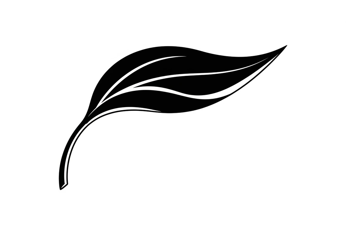 Hand Drawn Leaf Line Art Bundle, an Illustration by hafijul (Photo 7 of 51)