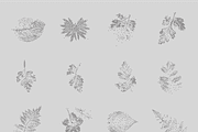 Leaf Tones Vol. 2 | Stippled Leaves, a Texture Illustration by invisiblelayer (Thumbnail 2 of 5)