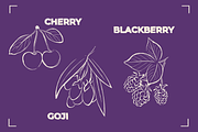 BERRY LINE ART SET (20 elements), a Food Illustration by Bonfloret Studio (Thumbnail 4 of 9)