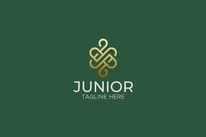 JR Logo Monogram Concept Luxury, a Branding & Logo Template by Signatoro