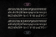Trendy Chart - Unique Serif, a Serif Font by Sarid Ezra (Thumbnail 9 of 9)