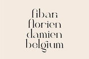 Calina serif classy font, a Serif Font by suhadidesign (Thumbnail 9 of 18)