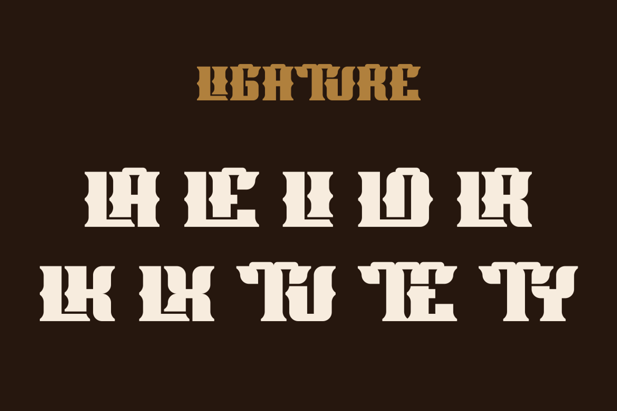 Lameros Tubule - Vintage Font, a Serif Font by Viswal Studio (Photo 4 of 6)